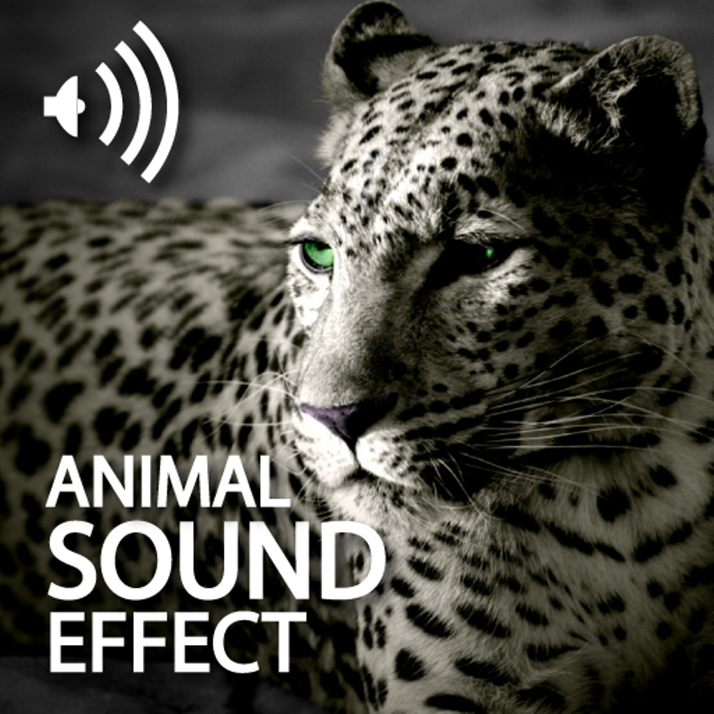 All Animals Sounds Pro by Shao Yin LI